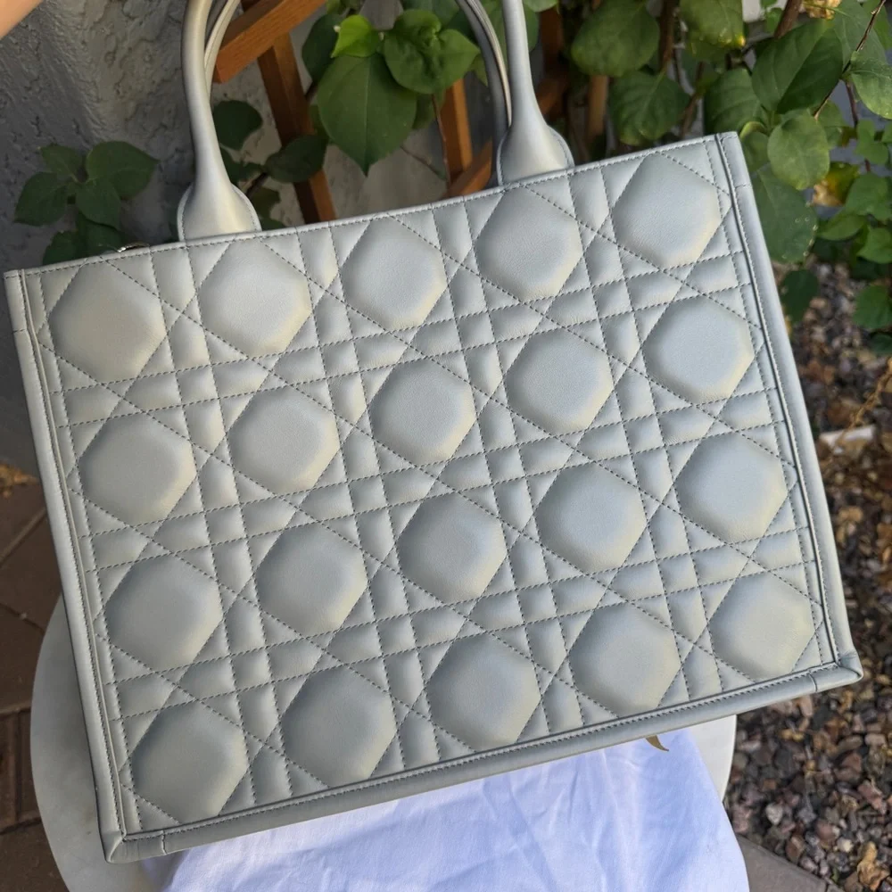 Dior christian calfskin